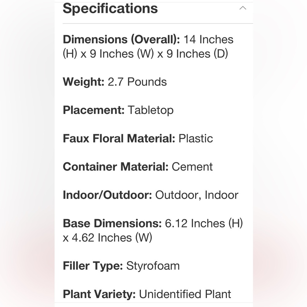 STUDIO MCGEE NWT indoor/outdoor privet faux plant in cement pot -14” - Picture 7 of 7